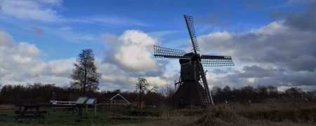 Weerribben, langs de Hogeweg.